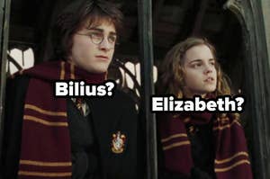 Harry Potter and Hermione Granger, wearing their black Hogwarts robes and Gryffindor scarfs, look out into the distance while standing on the Hogwarts' bridge. The name "Bilius?" is written over Harry and the name "Elizabeth?" is written over Hermione.