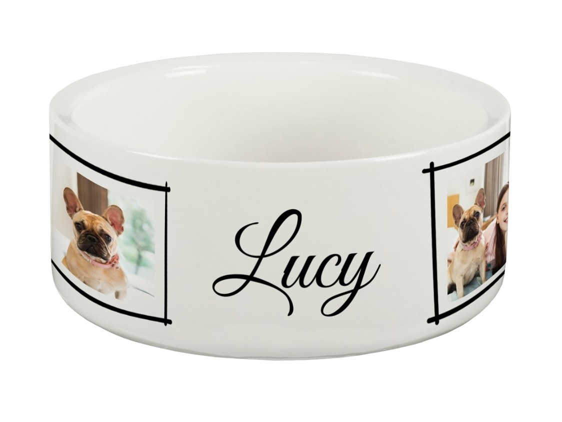 the large custom pet bowl with the name Lucy and a french bull dog on it