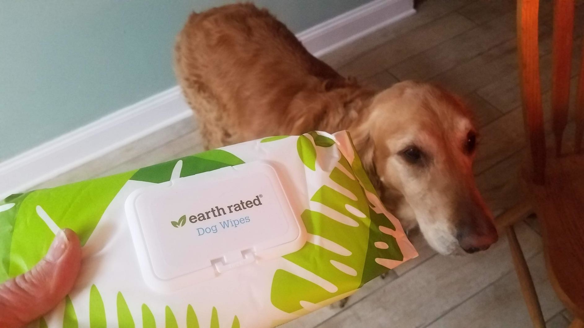 reviewer holding up a packet of earth rated dog wipes