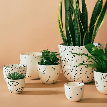 A set of pots with various designs