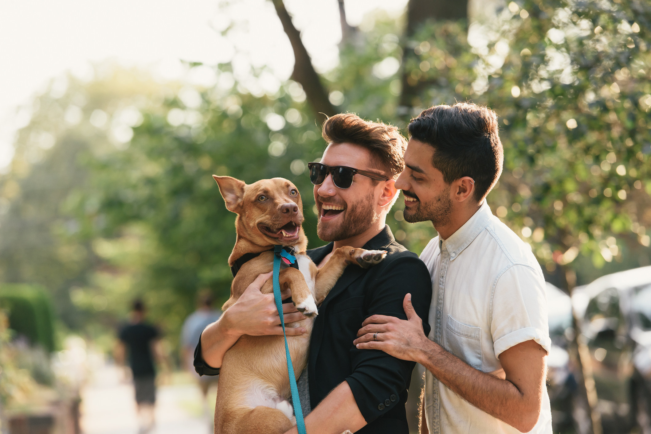 Young male couple carrying dog 