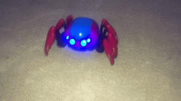 A remote controled spider-bot crawls on the ground