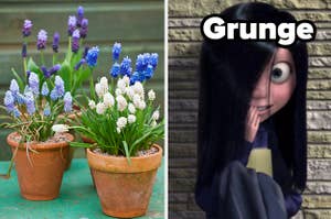 Three potted plants are on the left with Violet Parr labeled, "Grunge" on the right