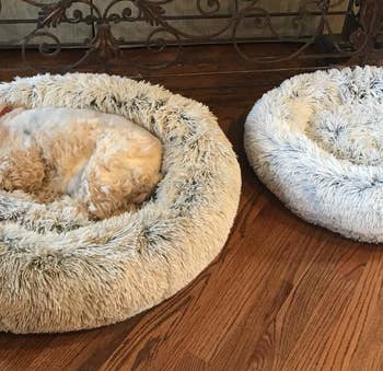 reviewer photo of a dog sleeping while lying on a fuzzy dog bed