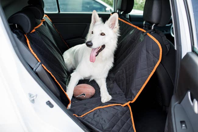 reviewer photo of a swiss shepherd sitting on a car cover