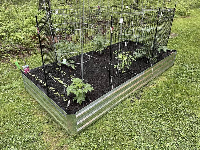 Reviewer's garden bed grows many vegetables
