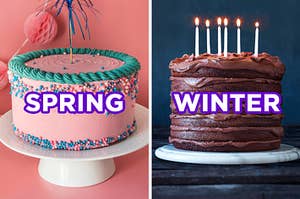 On the left, a bright, bold cake with colorful frosting and sprinkles all around labeled "spring," and on the right, a chocolate layer cake with sprinkles on top labeled "winter"