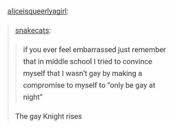 &quot;if you ever feel embarrassed remember in middle school I tried to convince myself I wasn&#x27;t gay by making a compromise to myself to only be gay at night,&quot; &quot;the gay knight rises&quot;