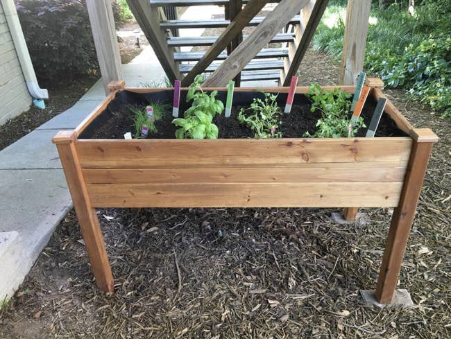 Reviewer's wooden raised garden bed placed outside with vegetables and herbs growing in it