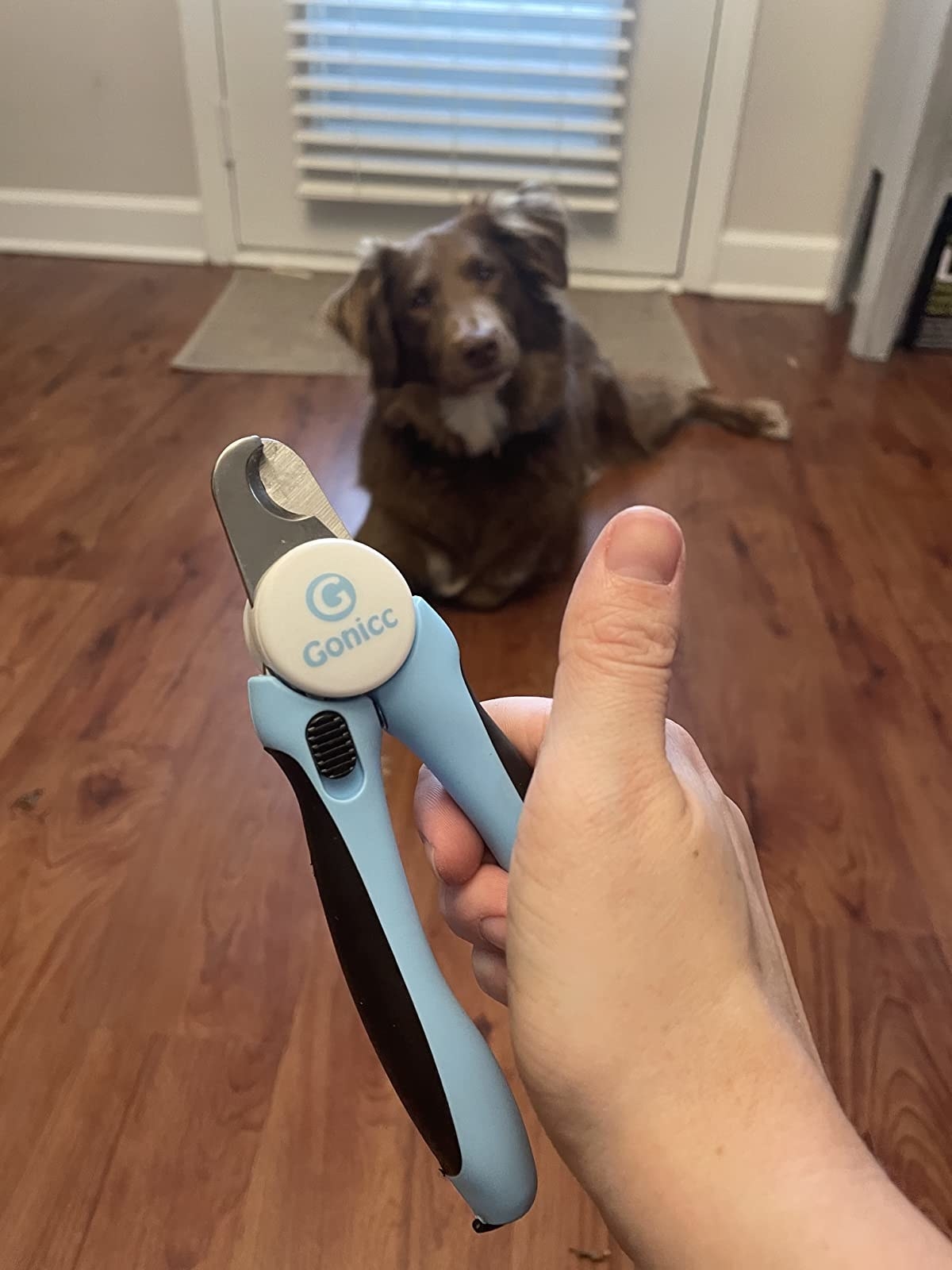 A reviewer holds the clippers
