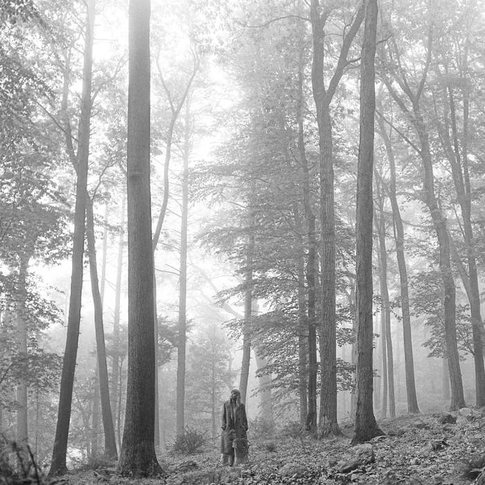 Folklore album cover, taylor stands in the woods looking up at the sky