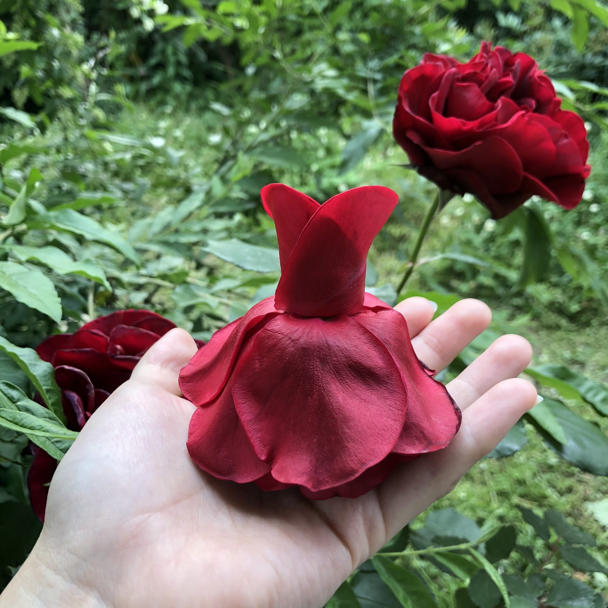 クオリティ高すぎ 生花の花びらで作った 妖精のドレス が圧巻だった