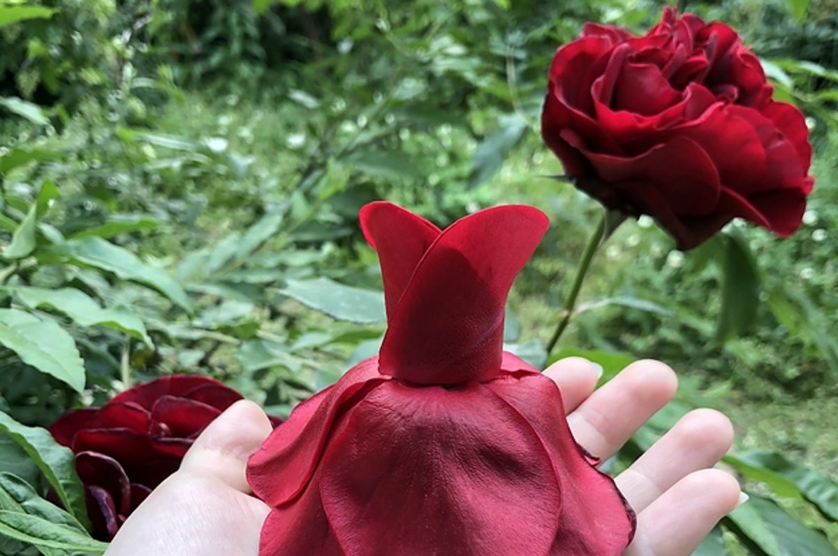 クオリティ高すぎ 生花の花びらで作った 妖精のドレス が圧巻だった