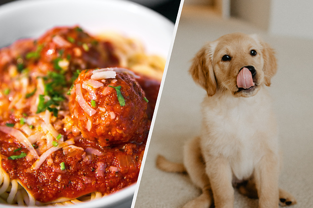 Pick A Food From A-Z And See Which Dog Breed You Actually Are