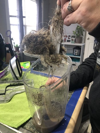reviewer pulls huge hair ball out of vacuum 