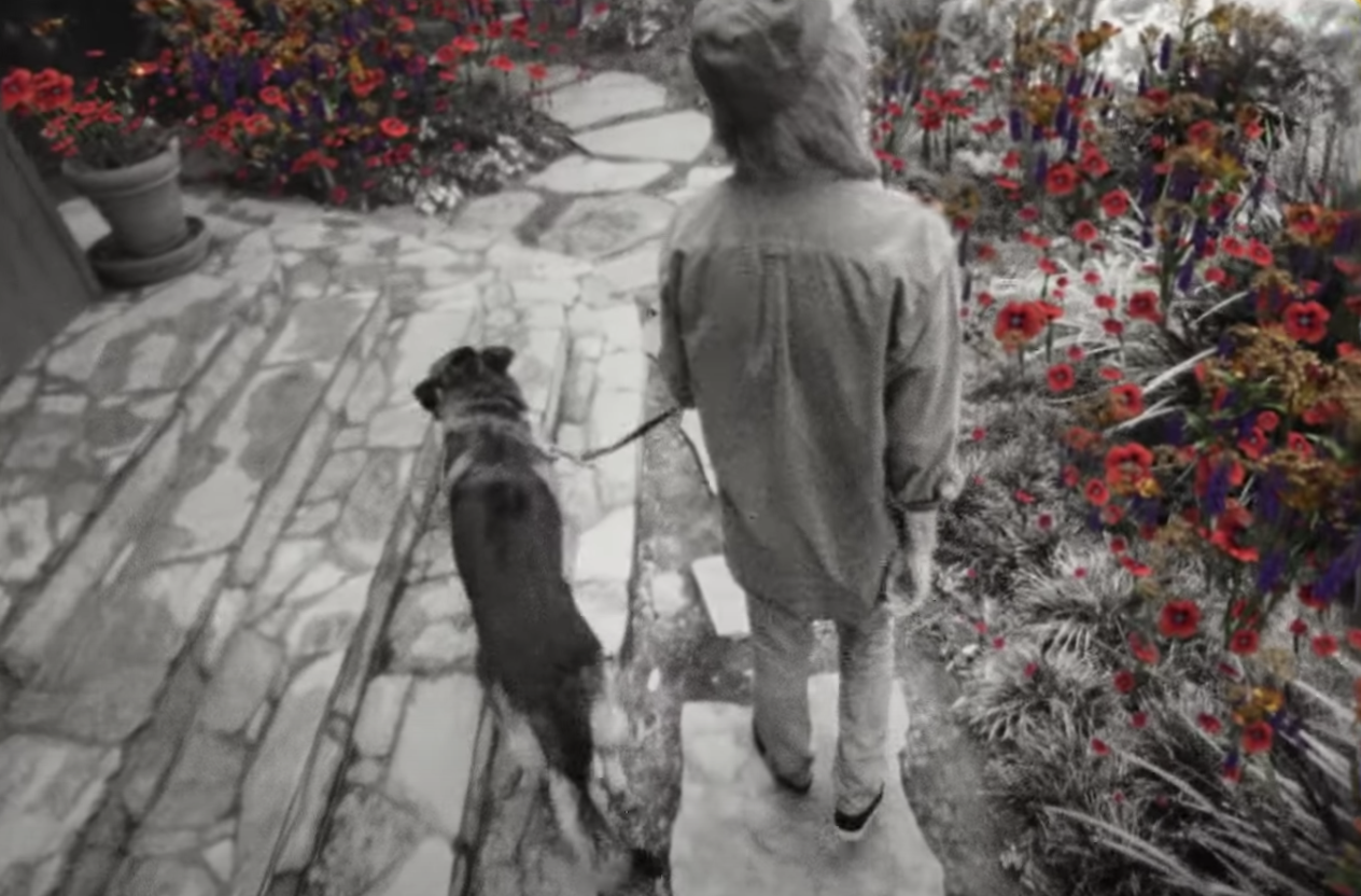 Tom Petty walking by some flowers with his dog