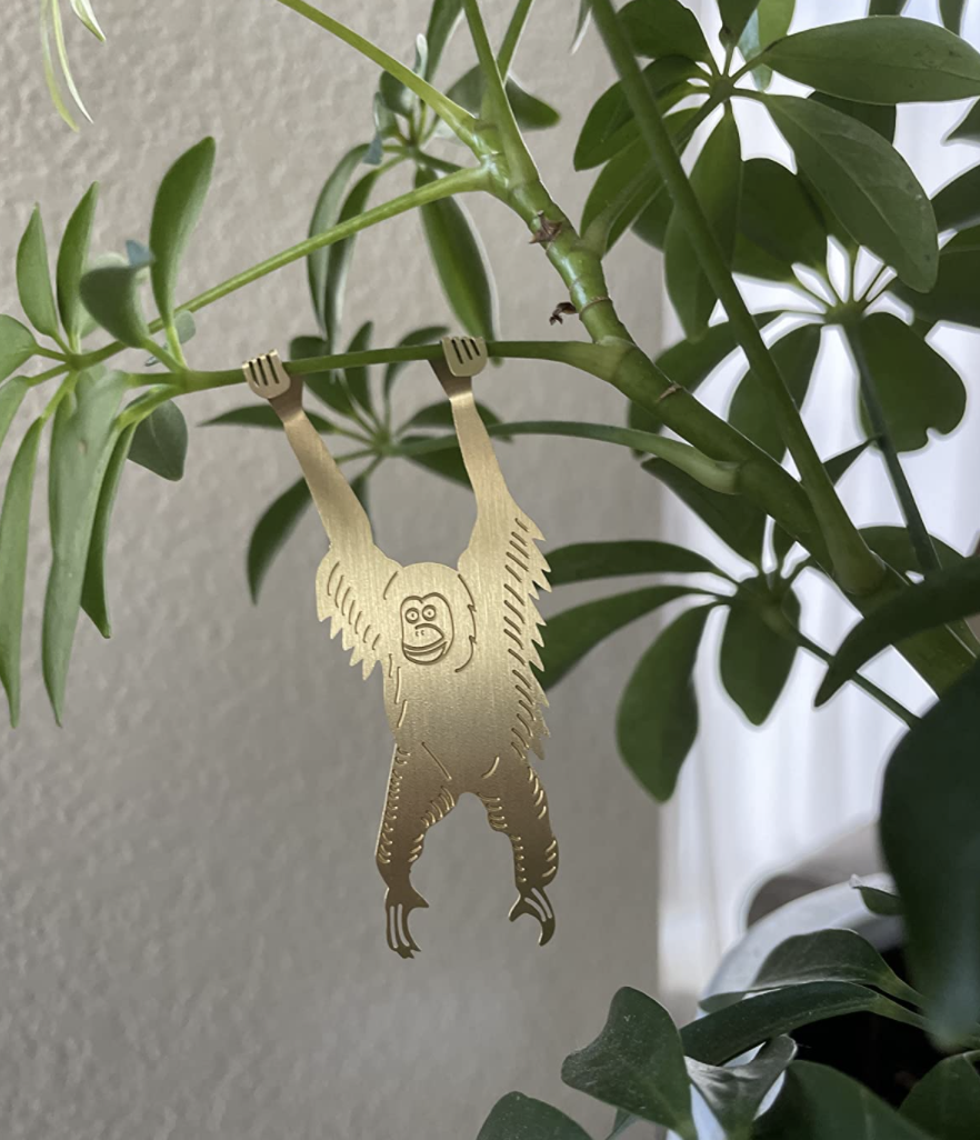 A reviewer&#x27;s monkey plant hanger