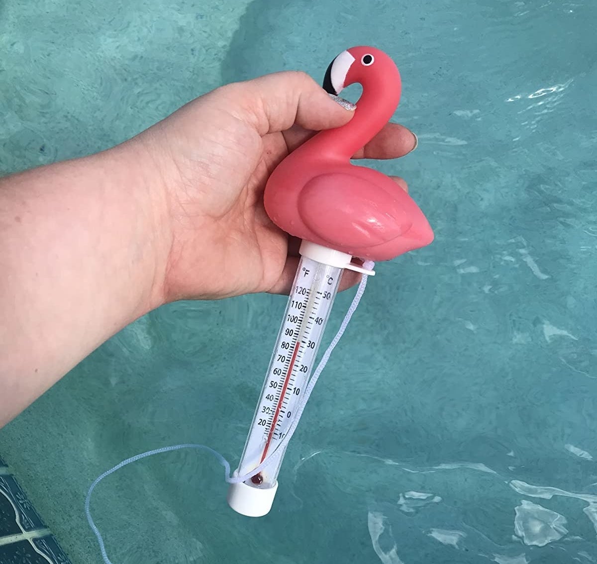 The flamingo thermometer