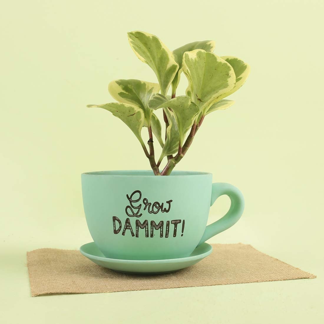 A teal coloured planter in the shape of a teacup and saucer with the words &quot;Grow Dammit!&quot; on it.