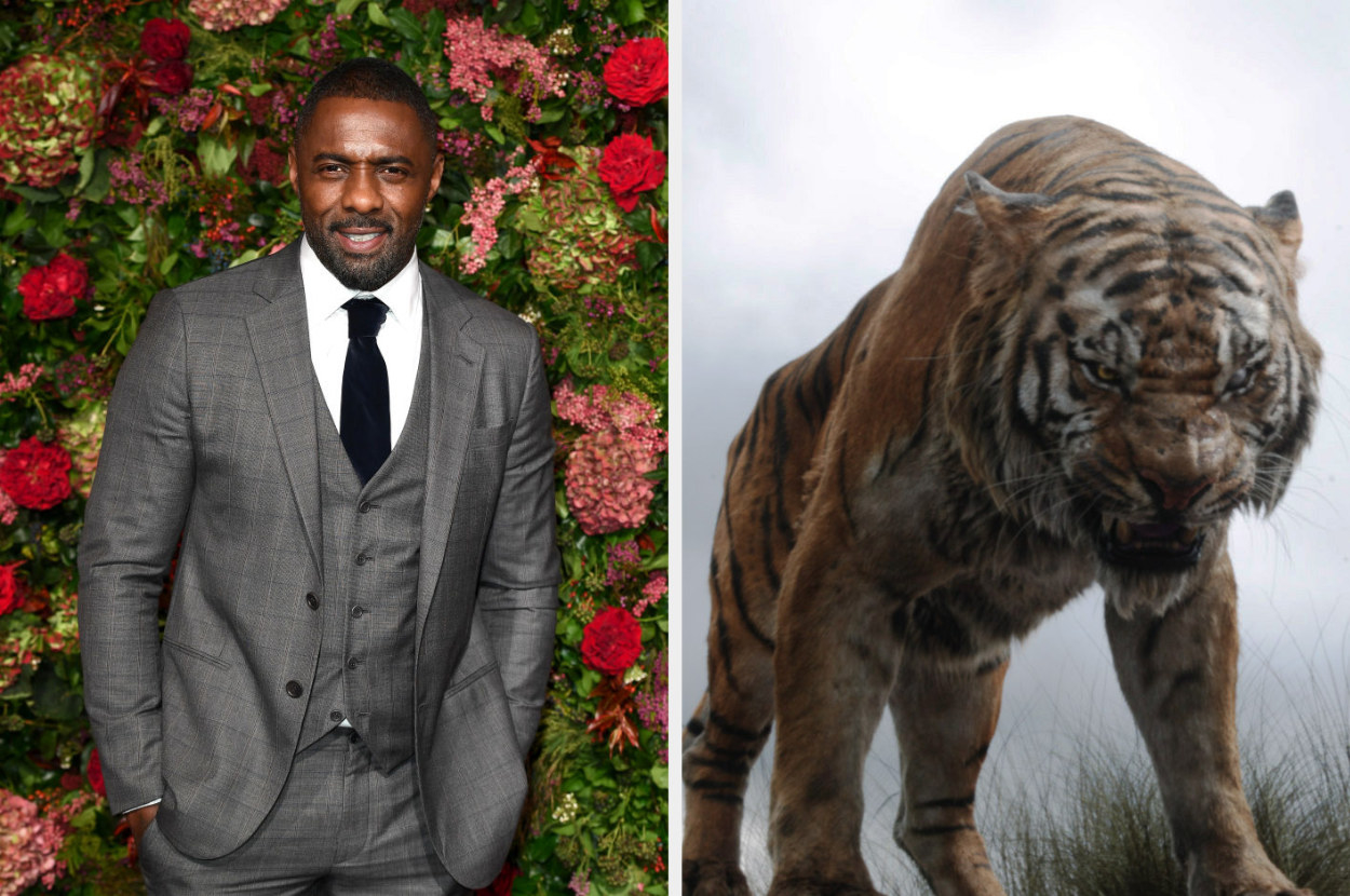 Idris Elba on the red carpet and in the jungle book (as the voice of shere khan) 