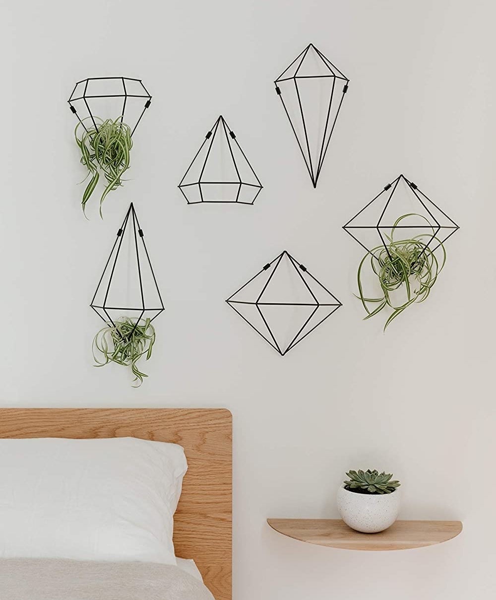The prisms on a wall above a bed