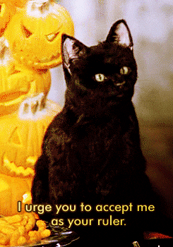 gif of salem the cat from sabrina the teenage witch saying &quot;i urge you to accept me as your ruler&quot;