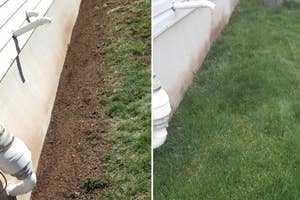 A reviewer's patchy lawn before using a lawn growing spray