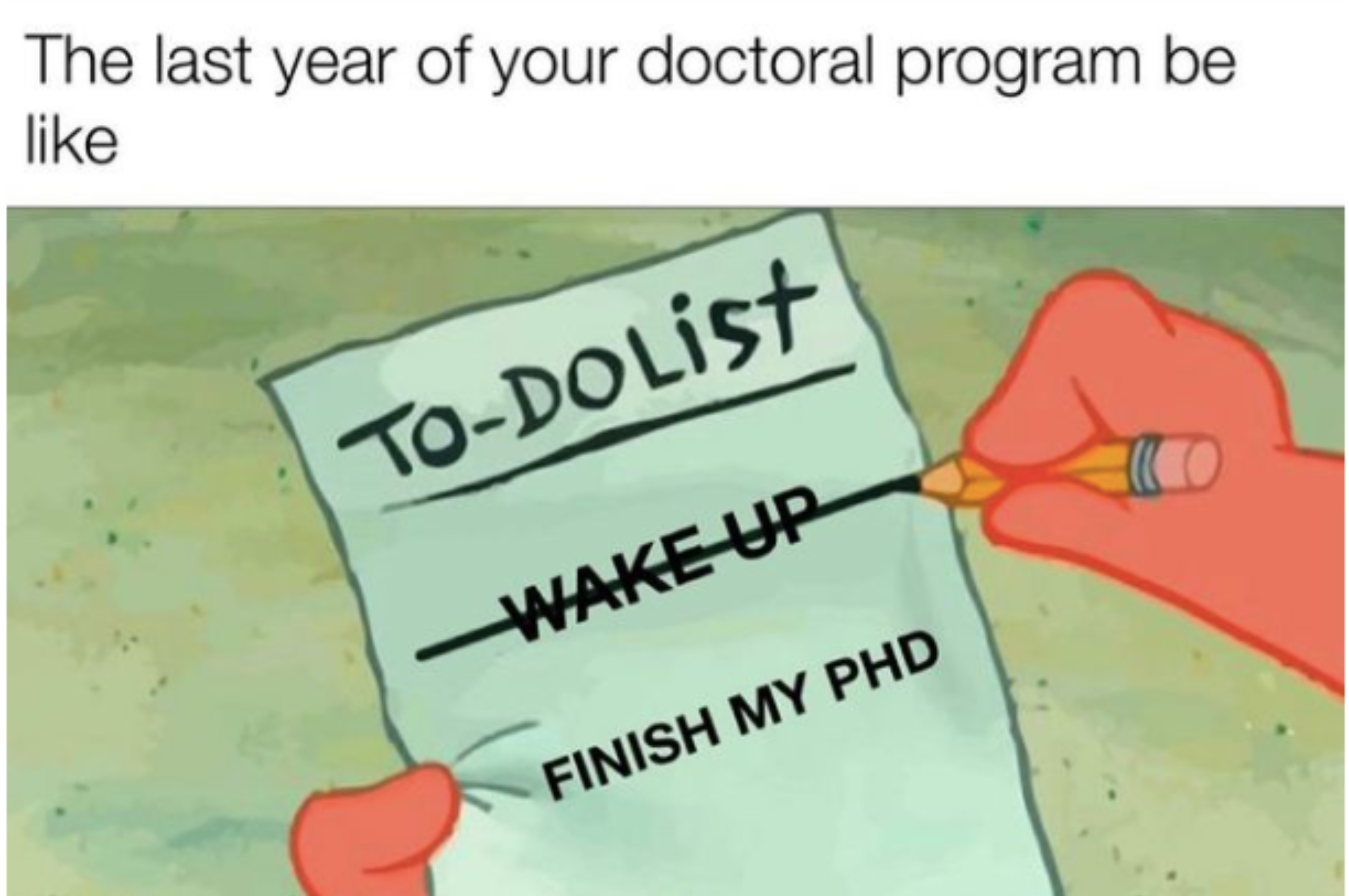 Funny PhD Memes
