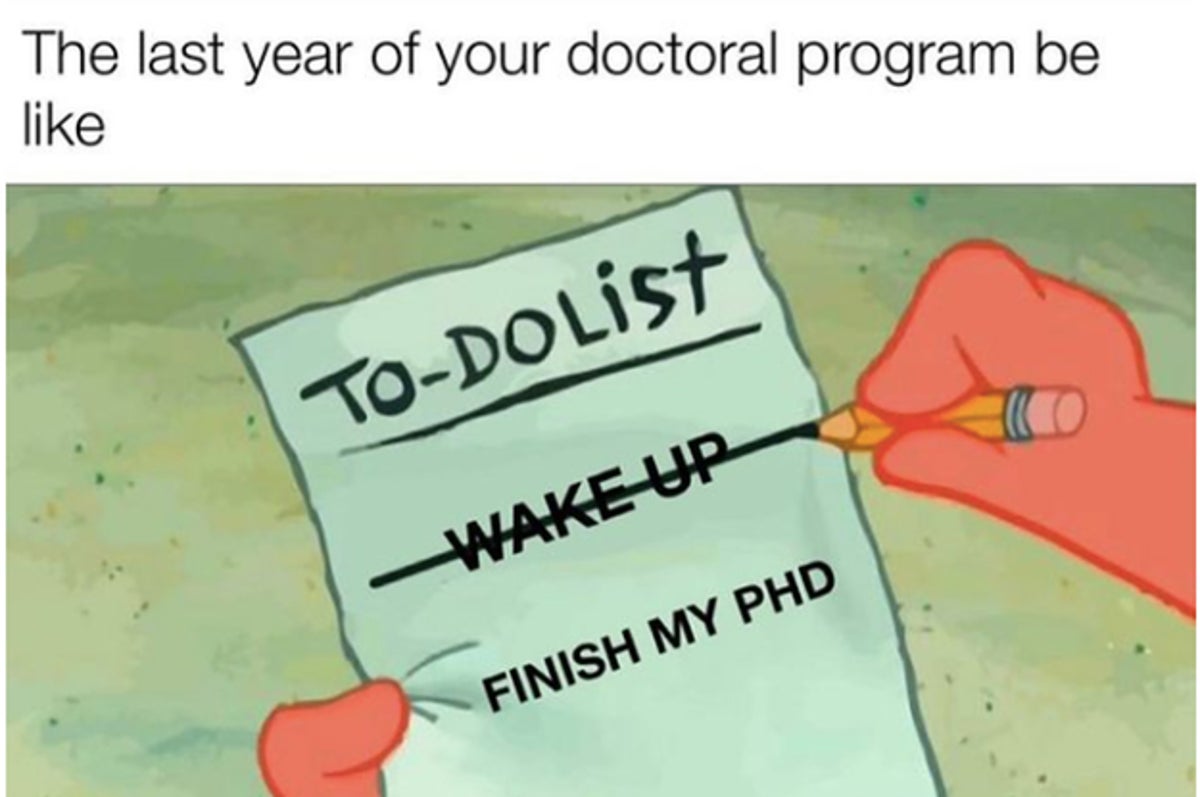 psychology grad school meme