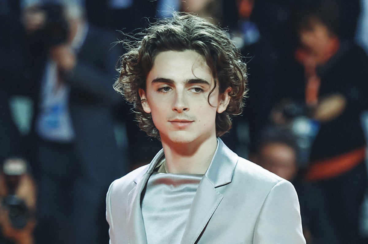 Timothée Chalamet Dyed His Hair Red For Bones And All Movie