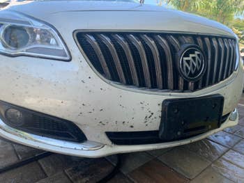Reviewer photo of a white car with splattered dead bugs all over the front bumper