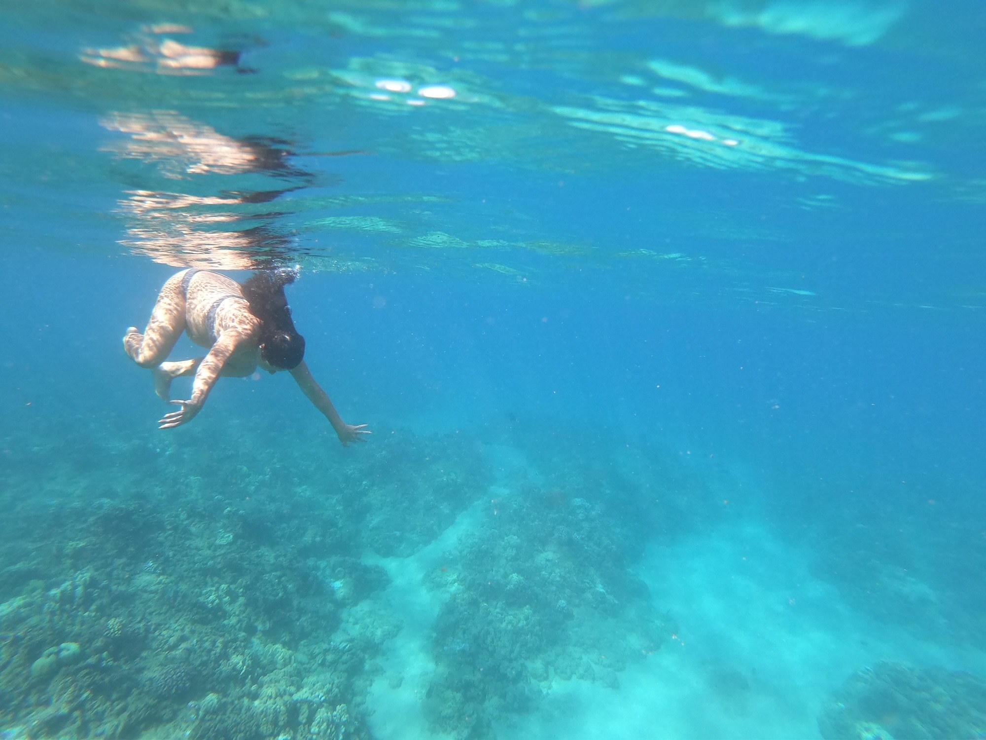 This TikTok Mom's Underwater Photo Shoot Fail