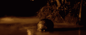 Marin Sheen from &quot;Apocalypse Now,&quot; covered in mud, quietly emerging from the water