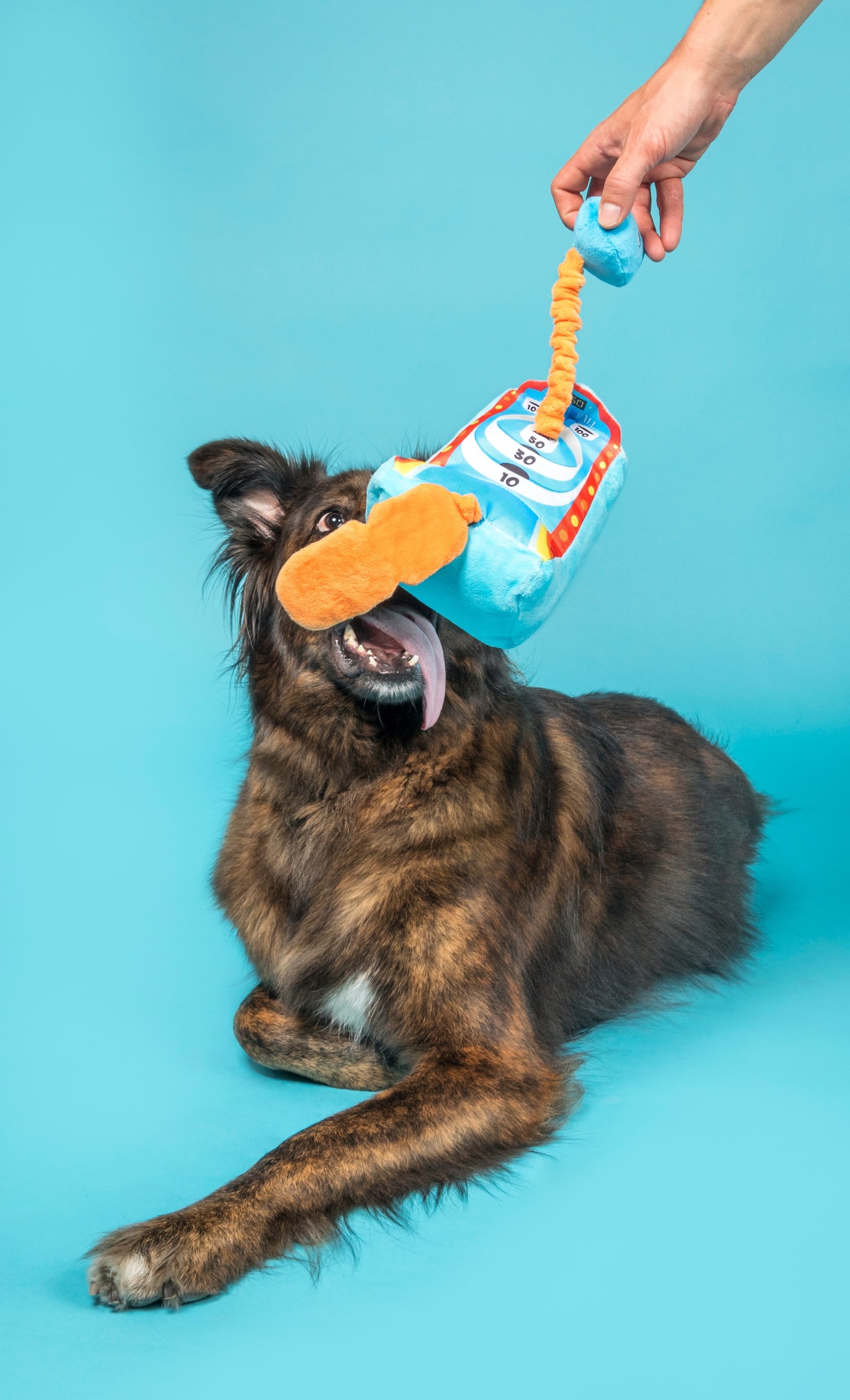 48 Pet Toys That People Actually Swear By