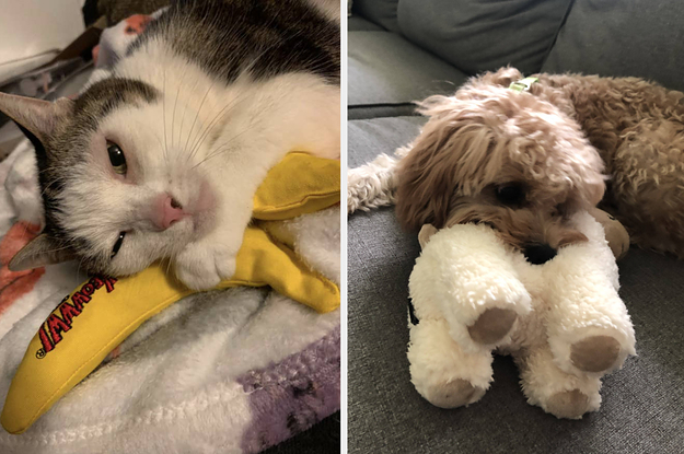 48 Pet Toys That People Actually Swear By