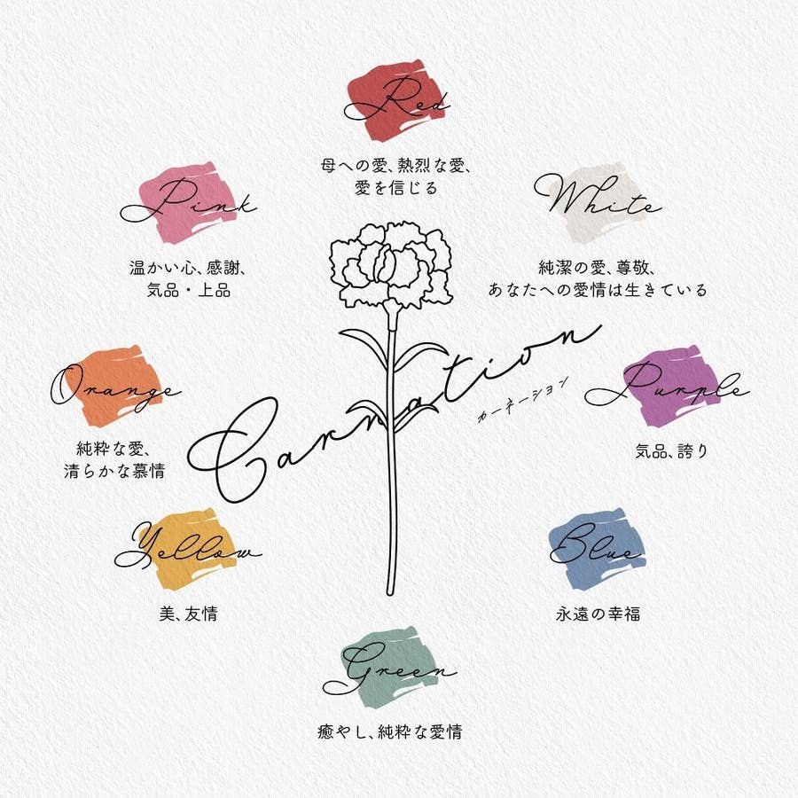 白色のバラの花言葉って知ってる 同じ花でも色ごとに違うのだとわかる画像が大反響