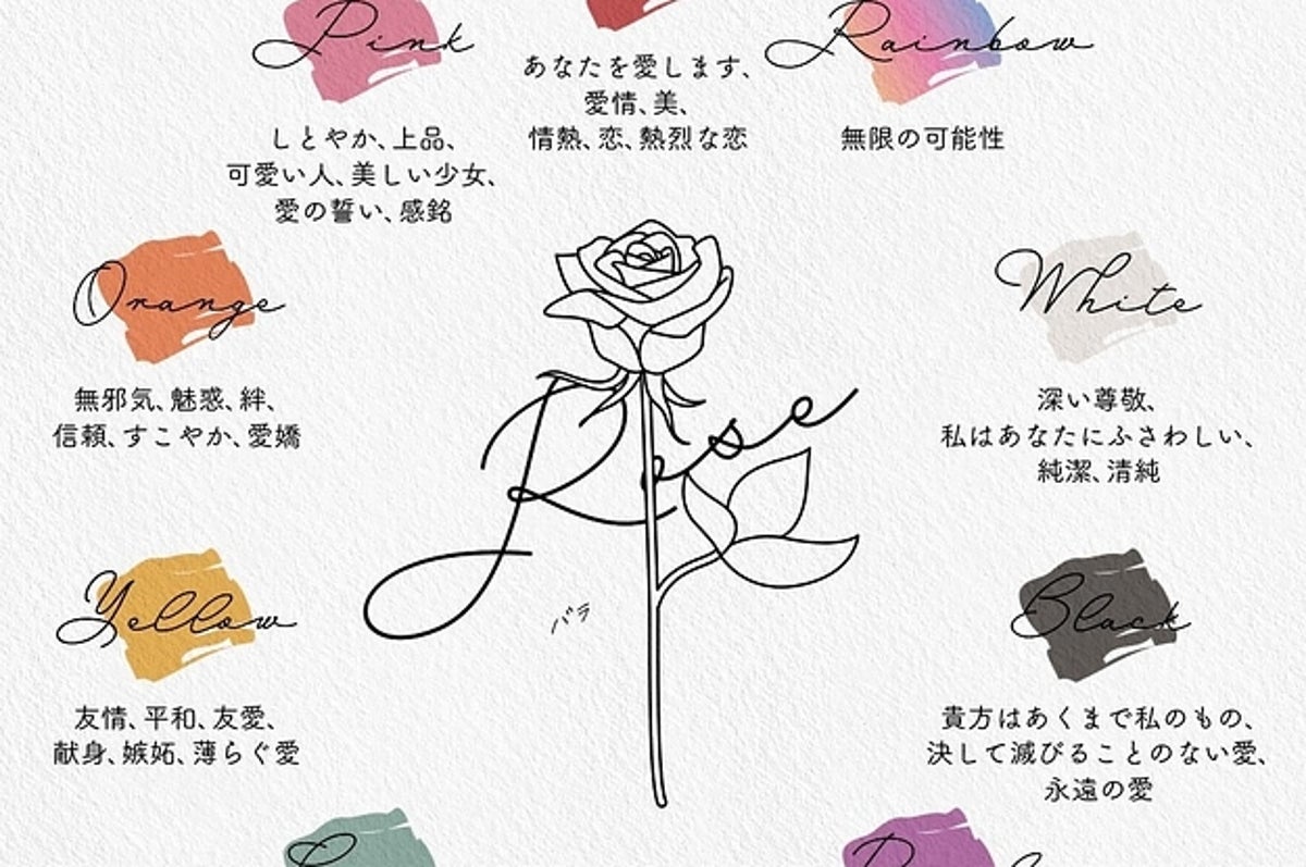 白色のバラの花言葉って知ってる 同じ花でも色ごとに違うのだとわかる画像が大反響