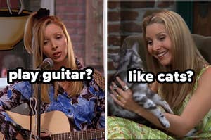 play guitar? like cats