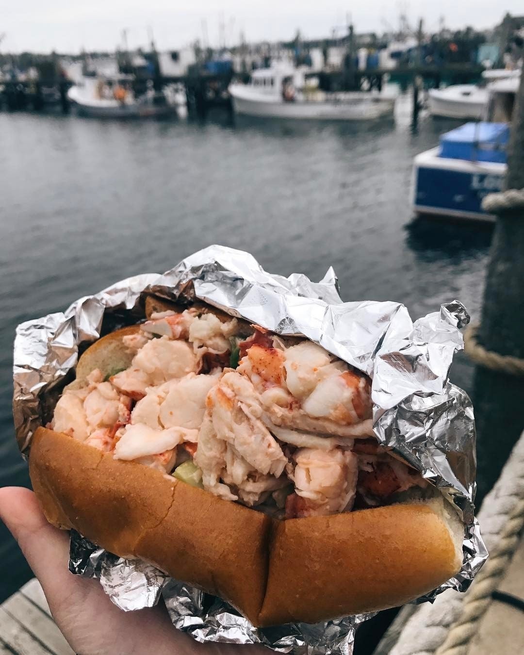 a lobster roll