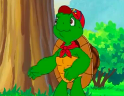 Turtle wearing baseball cap