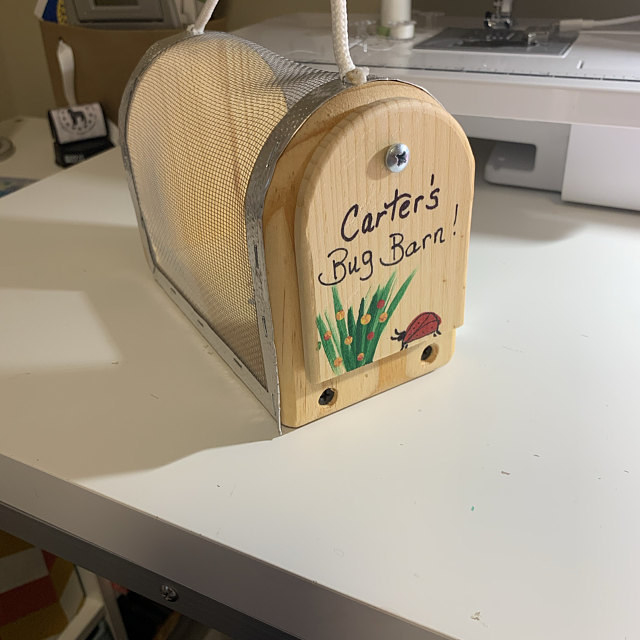The personalized wooden bug case