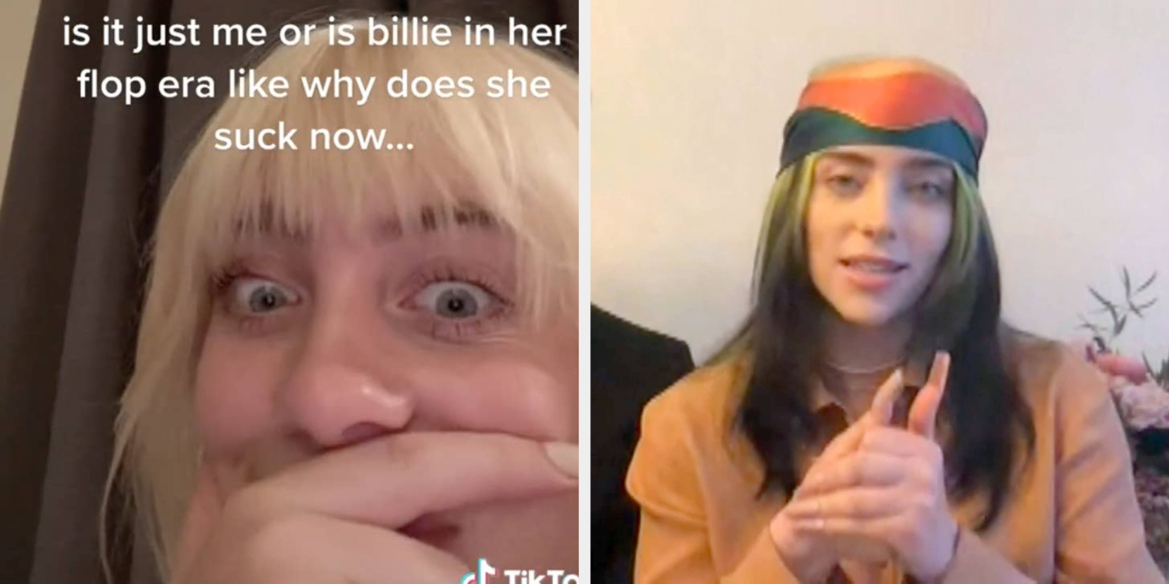 Billie Eilish TikTok Response To Haters