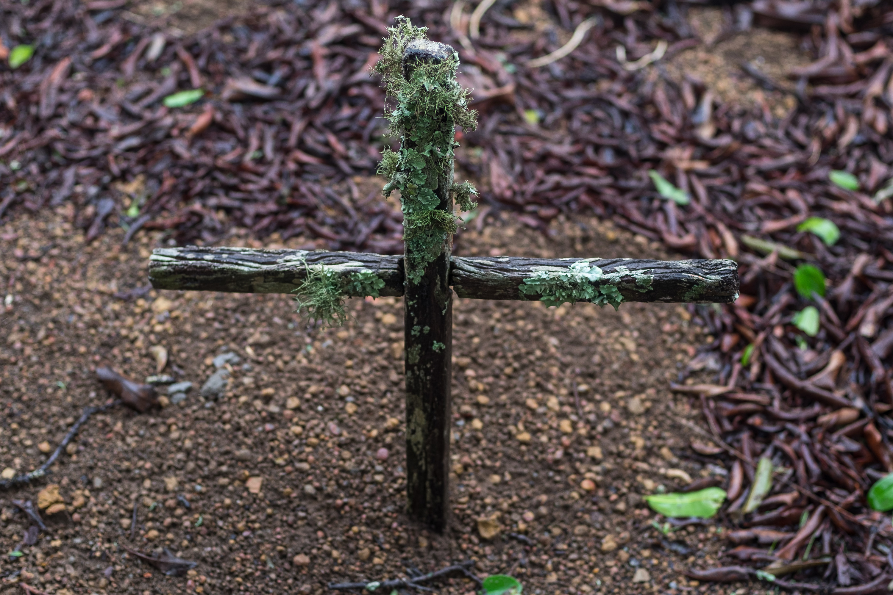 A simple small cross made of two sticks