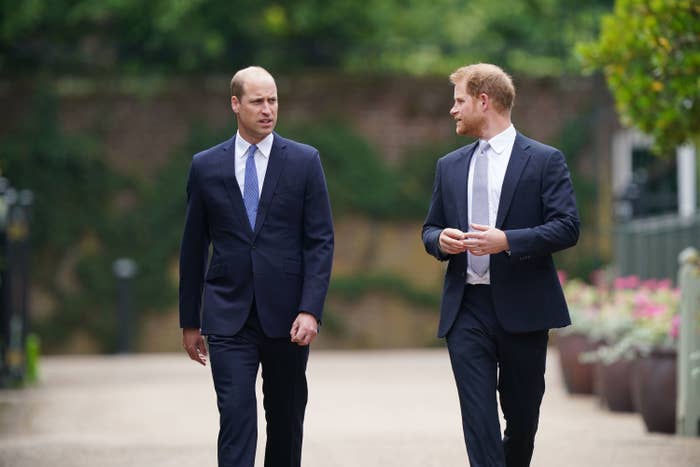Princes William and Harry walking together