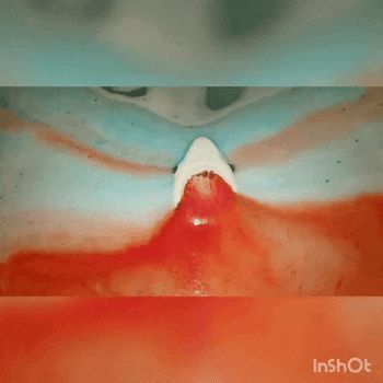The shark bath bomb dissolving in the bathtub