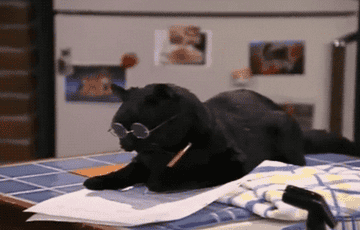 Salem, the cat from Sabrina the Teenage Witch, writing on paper with a pencil