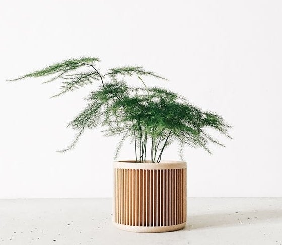 A minimal planter with engraved slots holds a plant