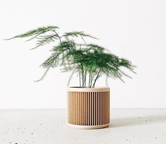 A minimal planter with engraved slots holds a plant