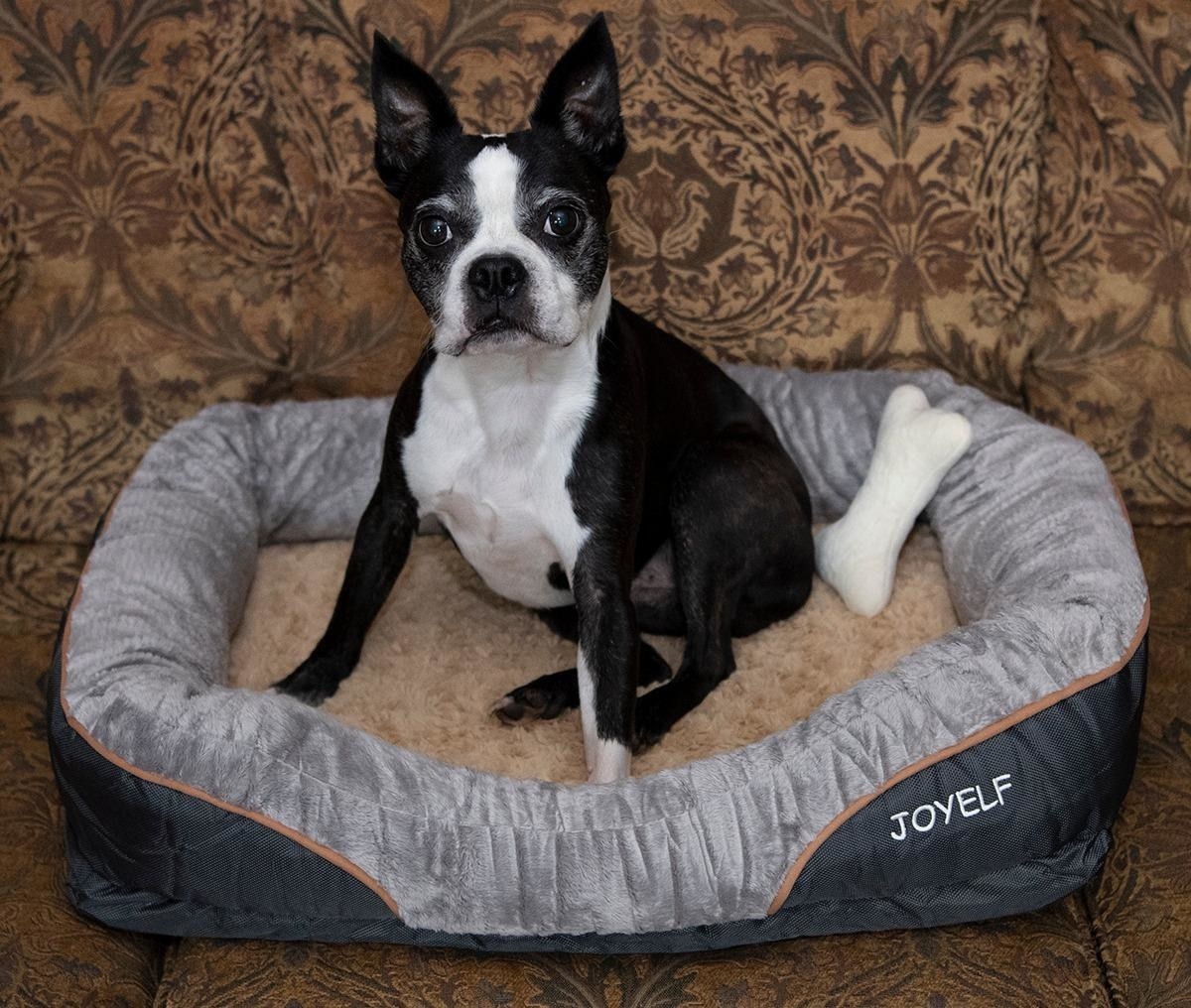 JOYELF Medium Memory Foam Dog Bed Replacement Cover for 31 x 22