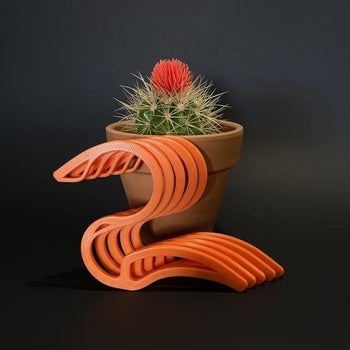 a potted cactus and several orange hoodie hangers 